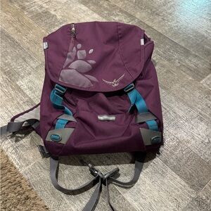 Osprey Purple and Gray Backpack